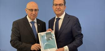Almanya'da aşırı sağcı sayısı ve şiddet suçlarında artış