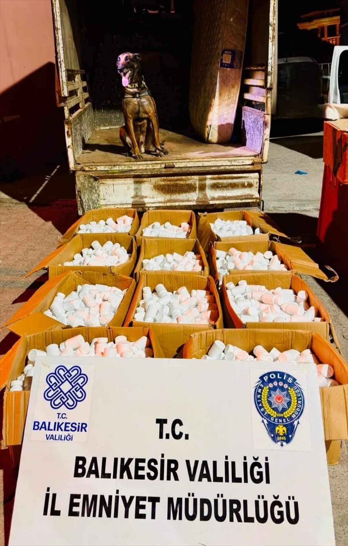 Balıkesir'de 144 bin 900 uyuşturucu hap ele geçirildi
