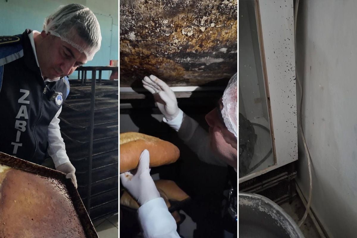 Fırındaki manzara mide bulandırdı! Zabıta müdürü görünce isyan etti