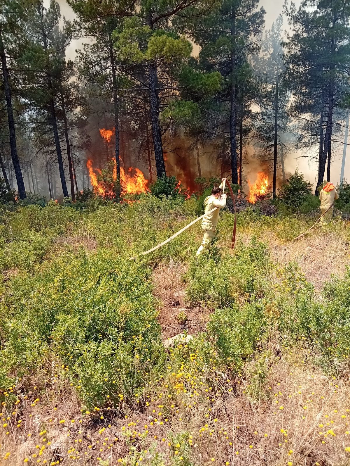 Bursa Orhaneli'nde Orman Yangınına 3 Helikopterle Müdahale