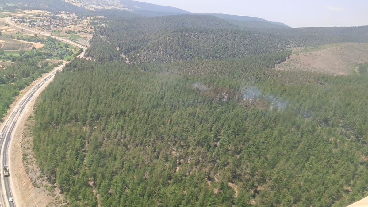Bursa Ormanında Yangın Çıktı