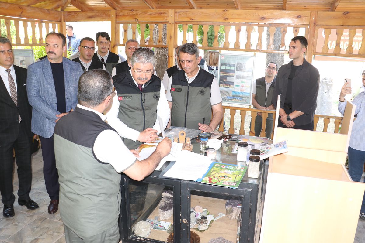 Bursa'da yanan ormanlar, Eskişehir'de üretilen fidanlarla yeşillenecek