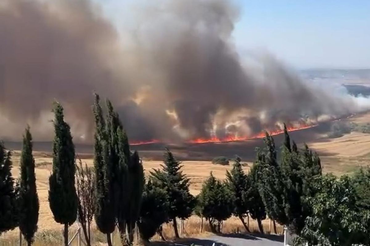 Büyükçekmece'de yangın! Rüzgarın etkisiyle büyüdü
