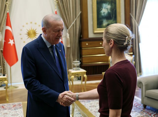 cumhurbaskani erdogan ab yuksek temsilcisi ka 20005468 o