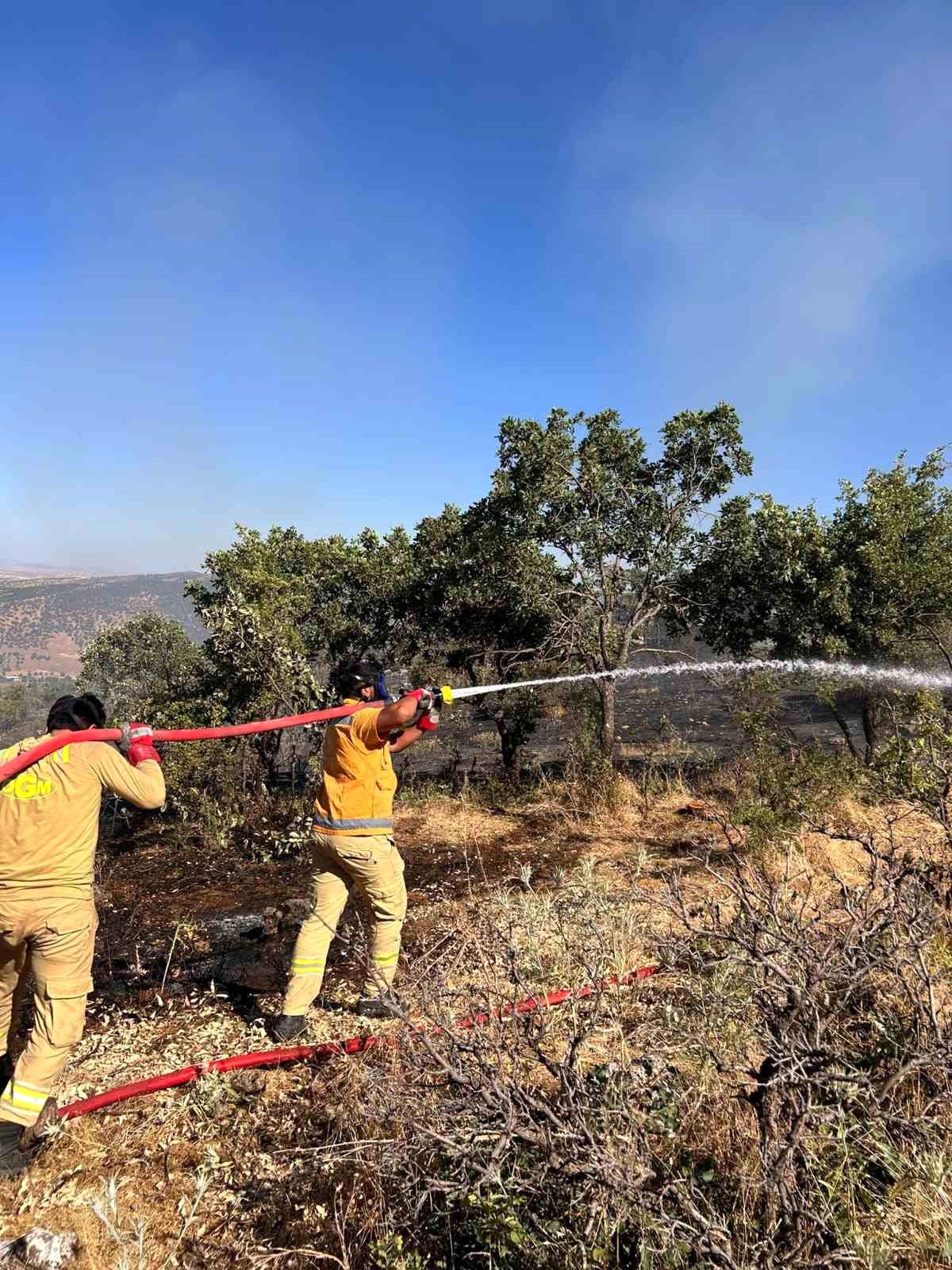 Bursa'daki Orman Yangınıyla İlgili 1 Kişi Gözaltına Alındı