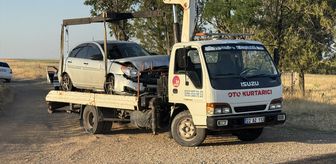 Edirne'de otomobilin çarptığı 6 koyun telef oldu