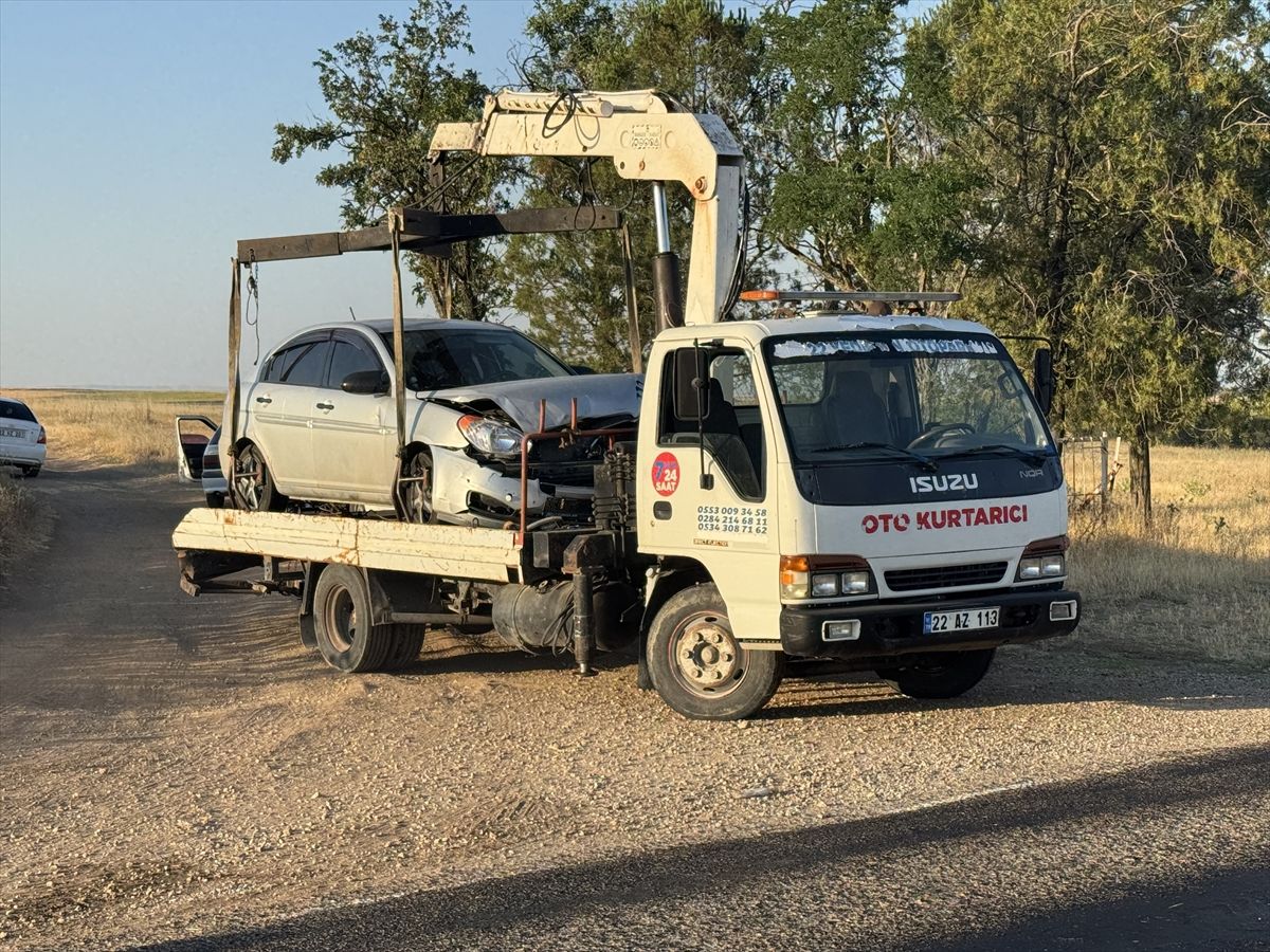 Edirne'de otomobilin çarptığı 6 koyun telef oldu