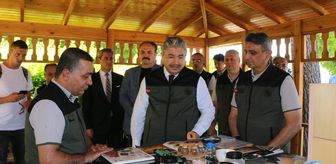Eskişehir'de yetiştirilen 3 milyon 400 bin fidan Bursa'da yanan yerlere dikilecek