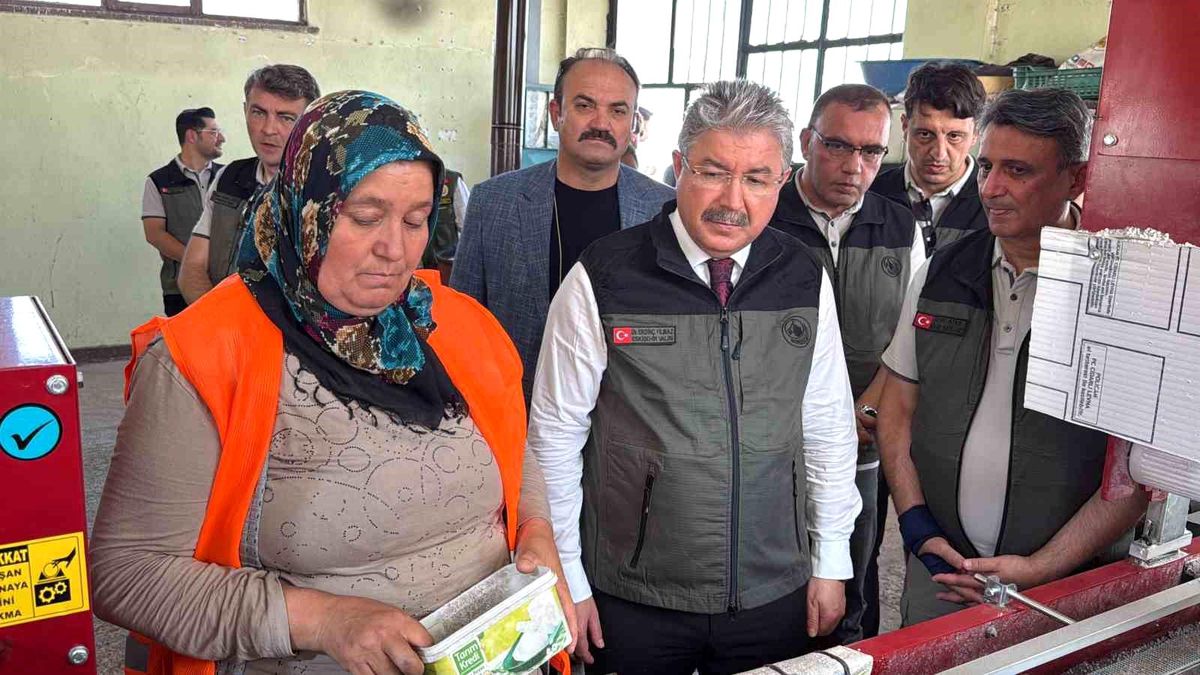 Eskişehir'den yangın bölgelerine gönderilen milyonlarca fidan 'nefes' olacak