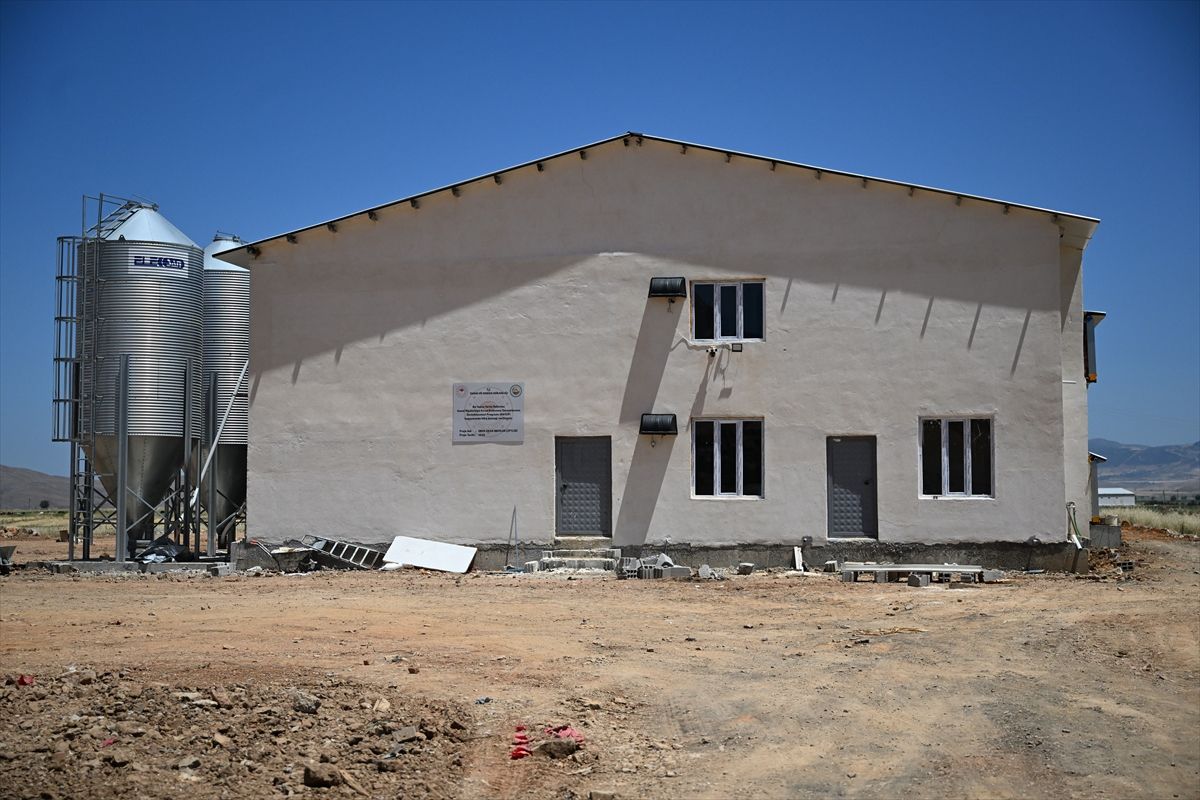 Kahramanmaraşlı genç girişimcilerin tavuk çiftliği kurma hayali devlet desteğiyle gerçek oldu