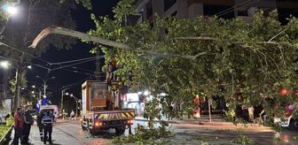 Kocaeli'de çınar ağacının kopan dalı tramvay seferlerinin aksamasına neden oldu