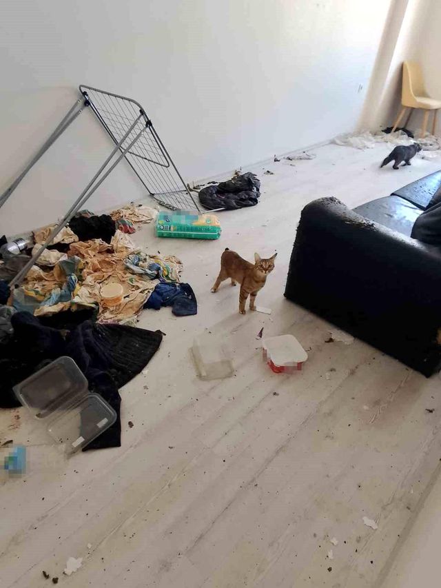 komsulari tasinmak zorunda birakan koku ihbar 2 20005003 o