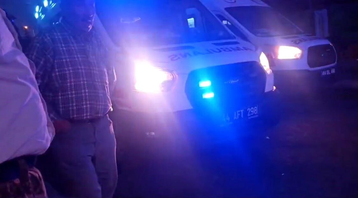 Malatya'da akrabalar arasında 'dut ağacı' kavgası: 1'i çocuk 3 yaralı