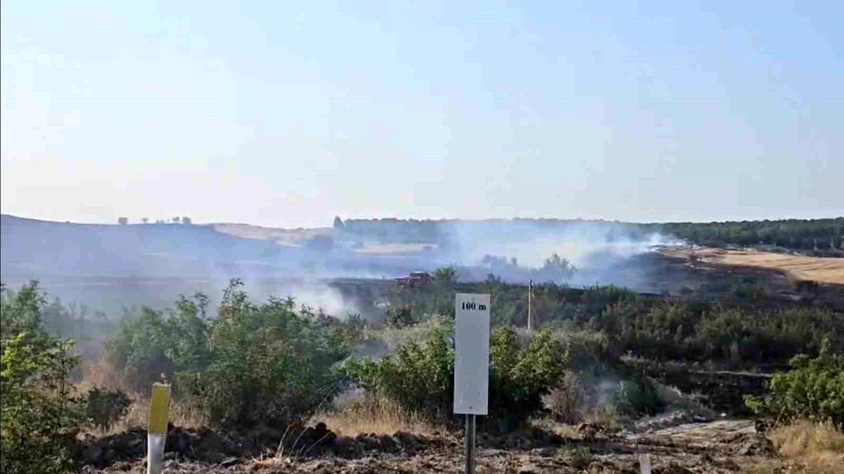 Bursa'daki Orman Yangınıyla İlgili 1 Kişi Gözaltına Alındı