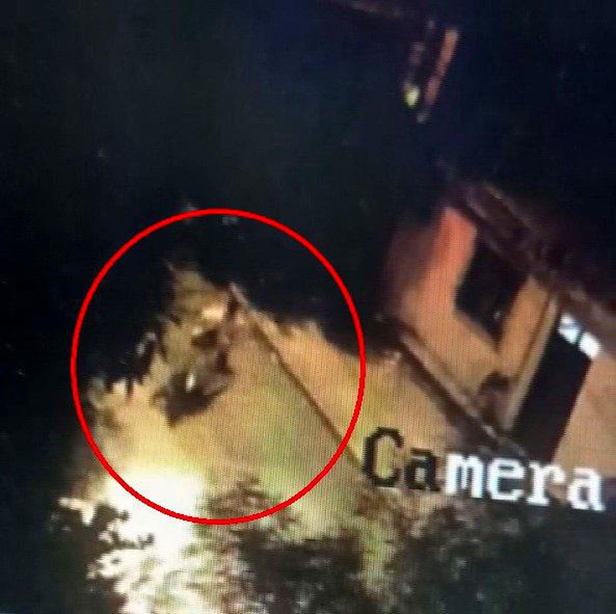 Motosikleti rahat tavırlarla çalan hırsızın o anları kamerada