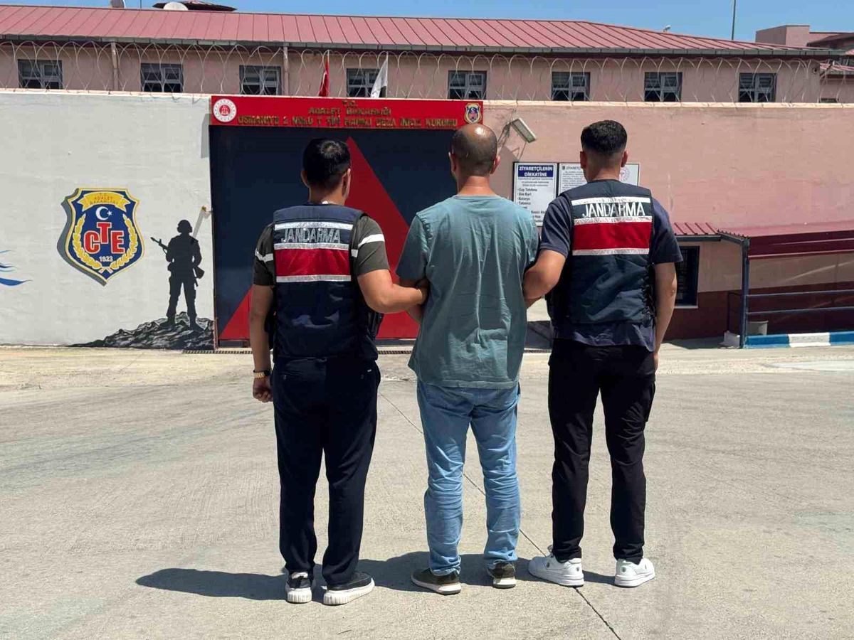 Osmaniye'de El-Kaide operasyonu: 1 tutuklama
