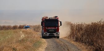 Tekirdağ'da çıkan anız yangınında 300 dekar tarım arazisi zarar gördü