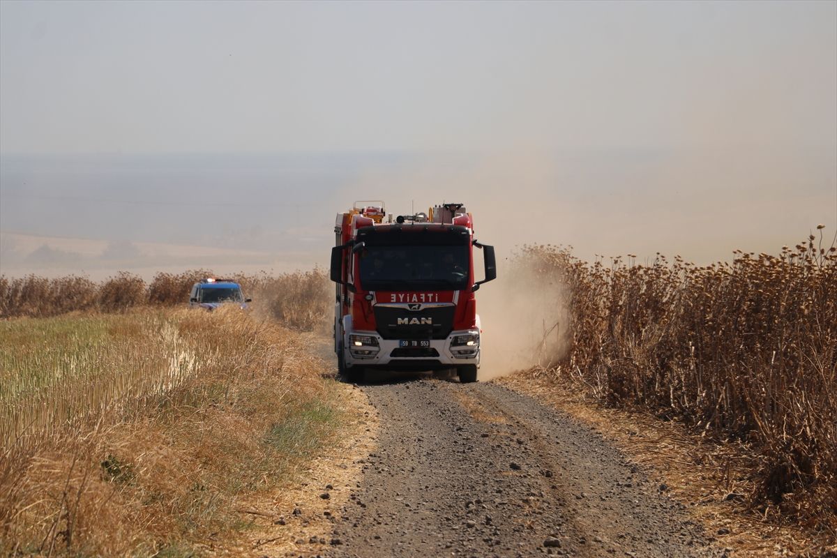 Tekirdağ'da çıkan anız yangınında 300 dekar tarım arazisi zarar gördü