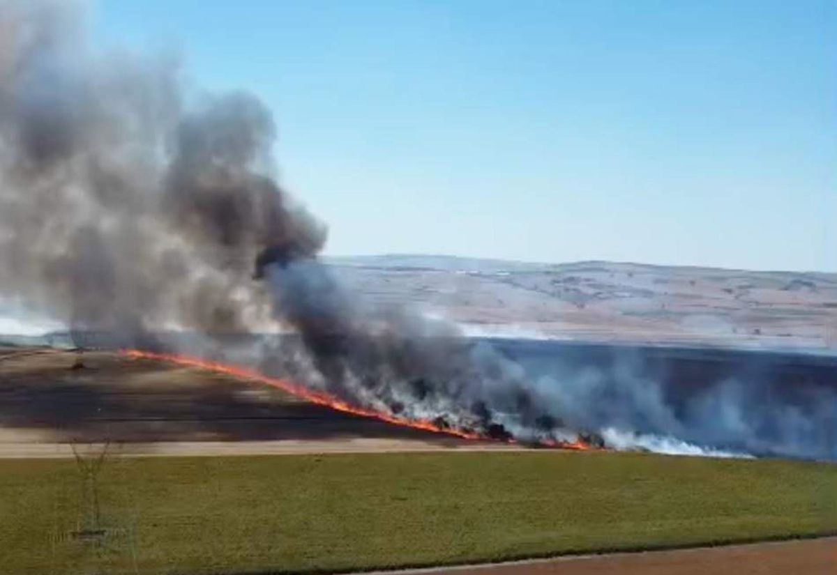 Tekirdağ Süleymanpaşa'da yanan tarım arazisi