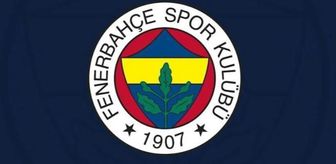 UEFA Fenerbahçe'ye neden ceza verdi?
