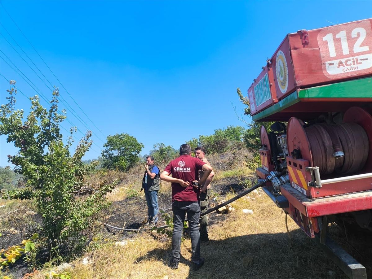 Zonguldak'ta çıkan yangında 2 hektar fındıklık alan yandı