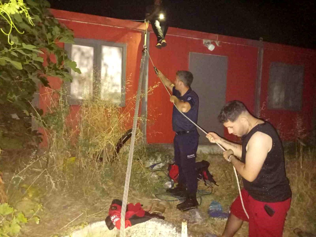 Balıkesir'de kuyuya düşen yavru kedi kurtarıldı