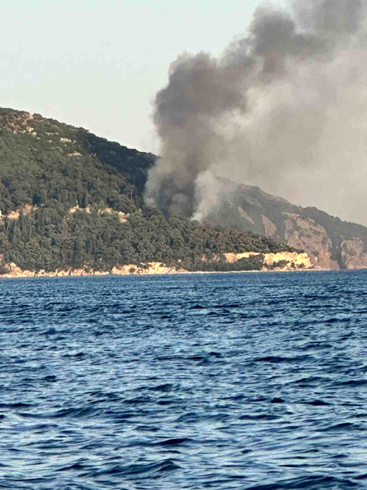 Büyükada Viranbağ Plajı'nda yangın