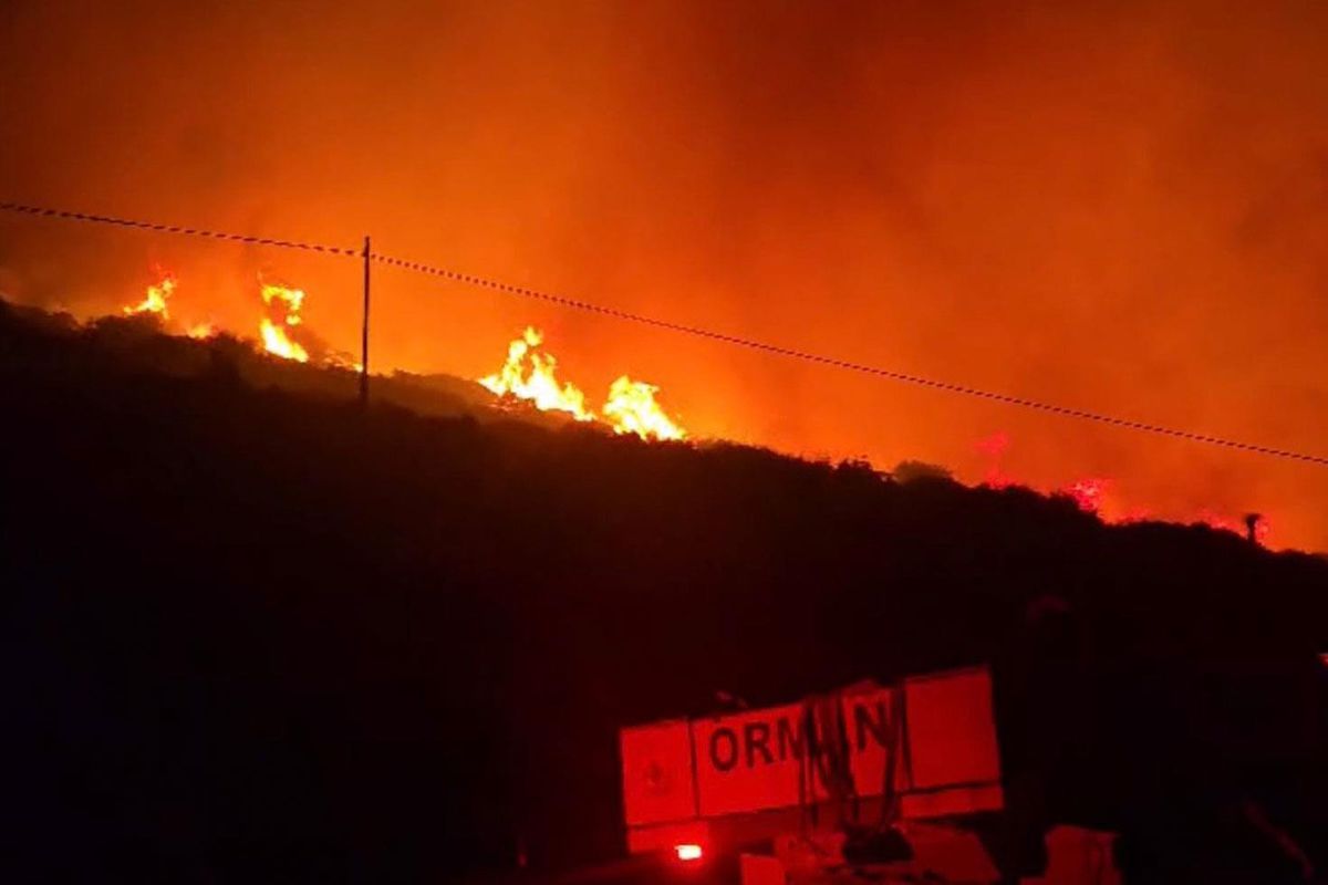 İzmir'de makilik alanda yangın