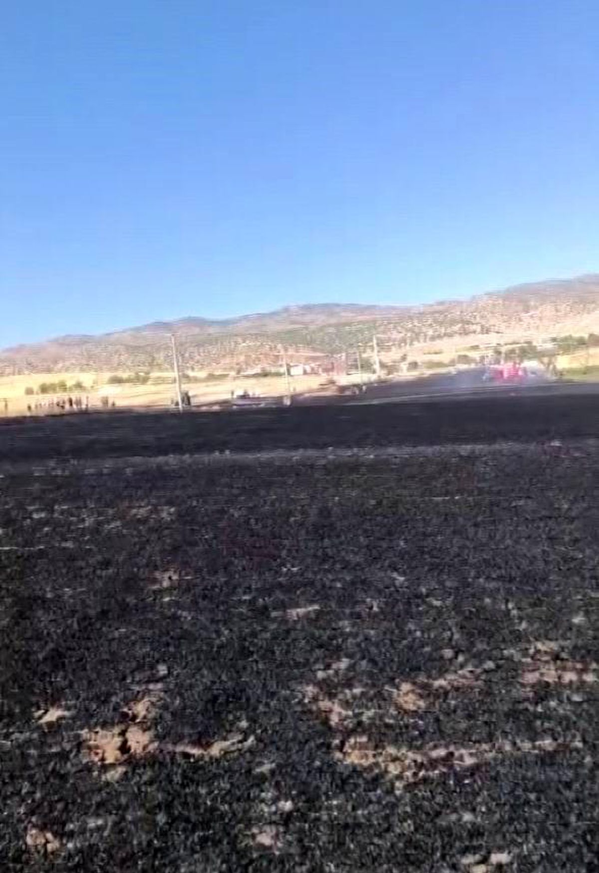 Diyarbakır'ın Silvan ilçesinde yangın sonrası küle dönen tarım arazisi.