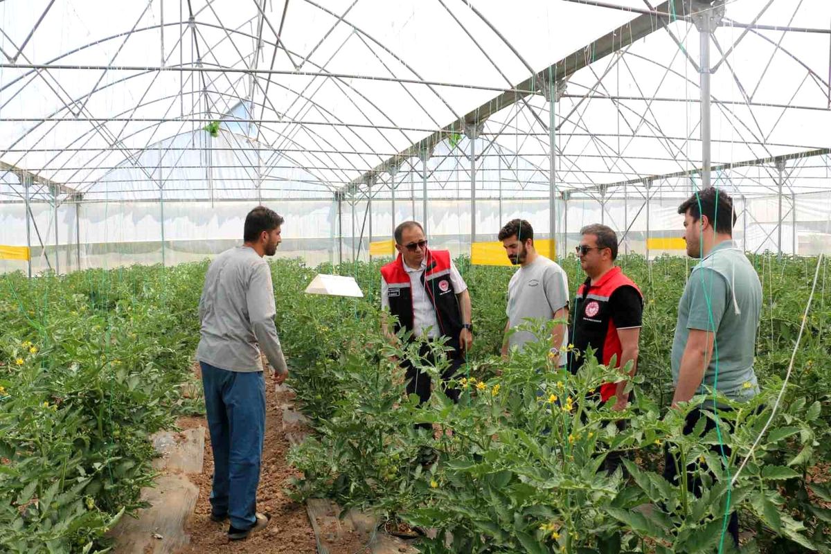 Erzincan İl Tarım ve Orman Müdürü Alper Koçaker seracılık işletmelerini incelerken