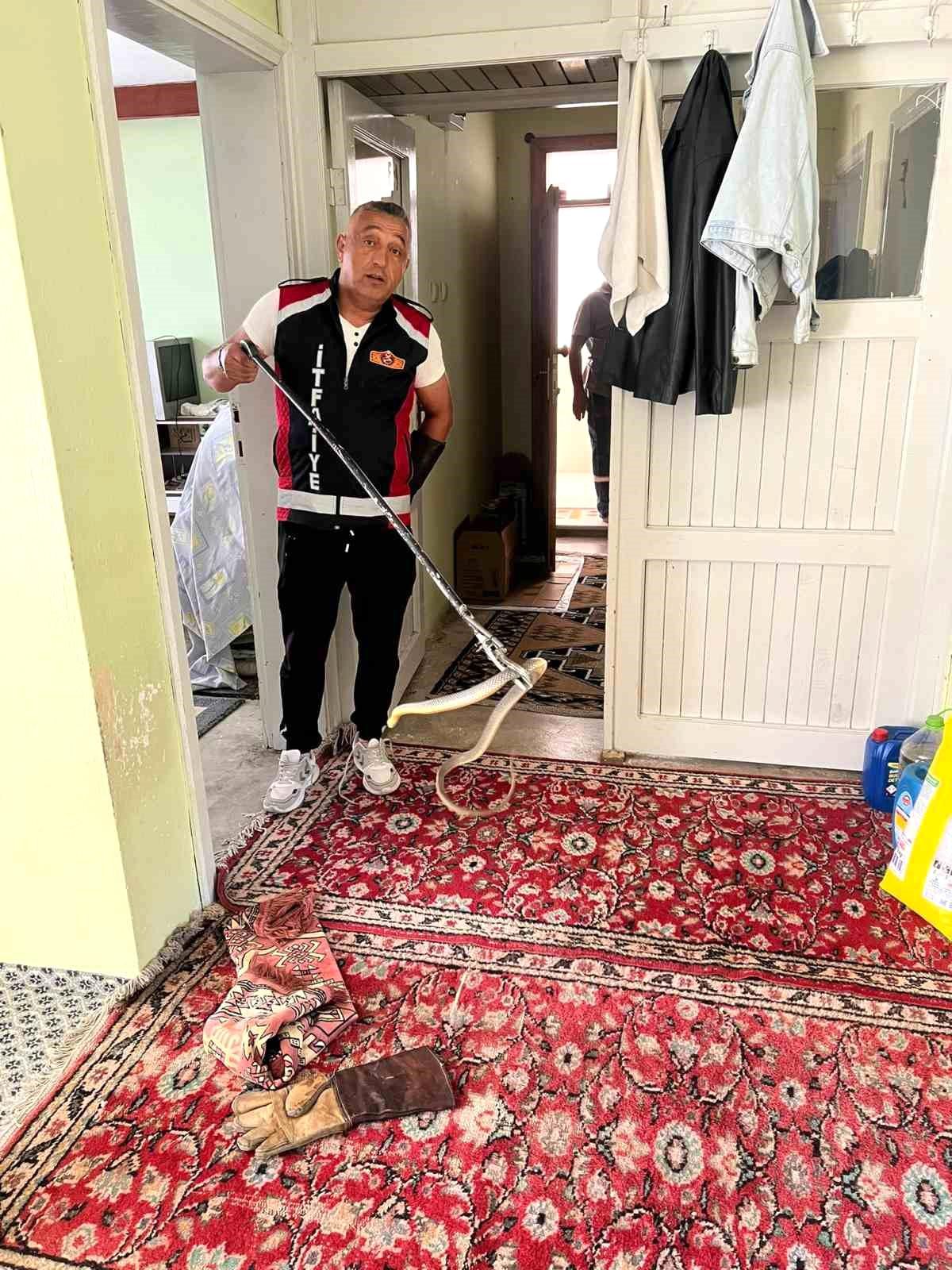 Evde yılan paniği