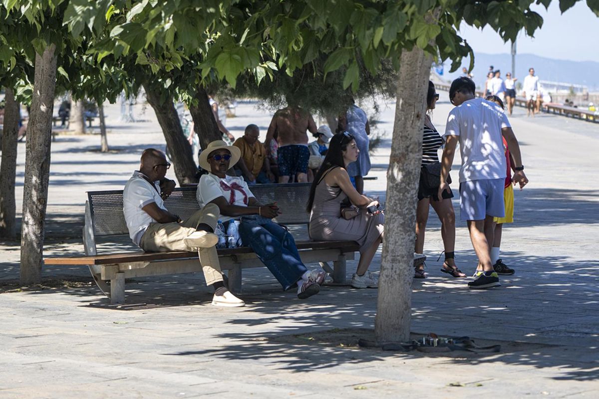 İspanya'da rekor sıcaklarda 1029 kişi hayatını kaybetti