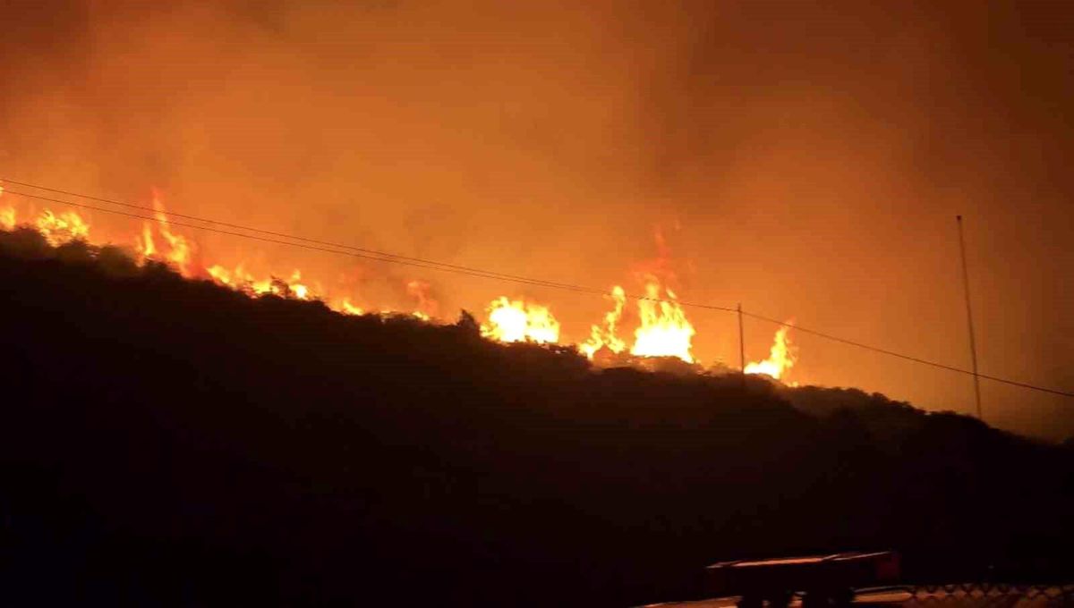 İzmir Dikili'de makilik alanda çıkan yangına müdahale ediliyor
