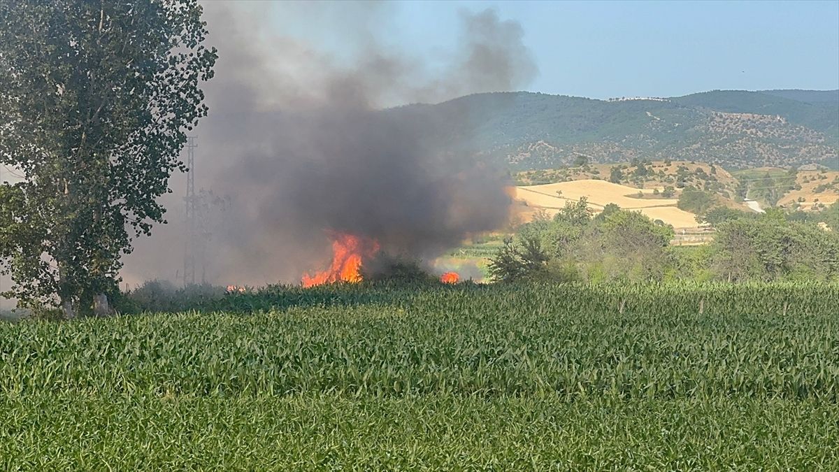 Kastamonu'da çıkan yangında 5 dekar buğday tarlası zarar gördü