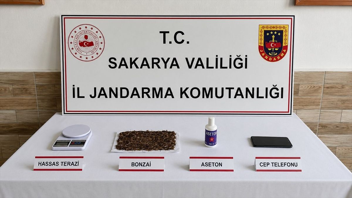 Sakarya'da uyuşturucu operasyonunda 2 şüpheli tutuklandı
