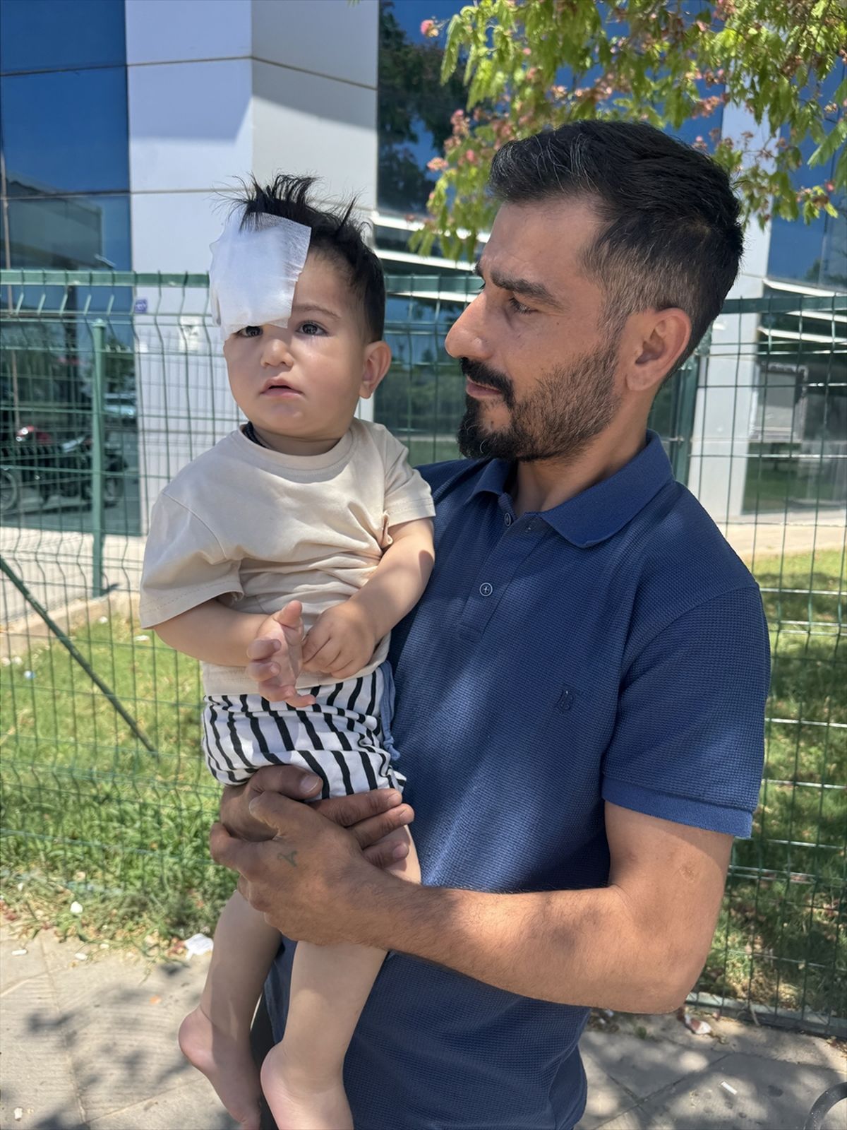 Şanlıurfa'da sahipsiz köpeğin saldırısına uğrayan çocuk yaralandı