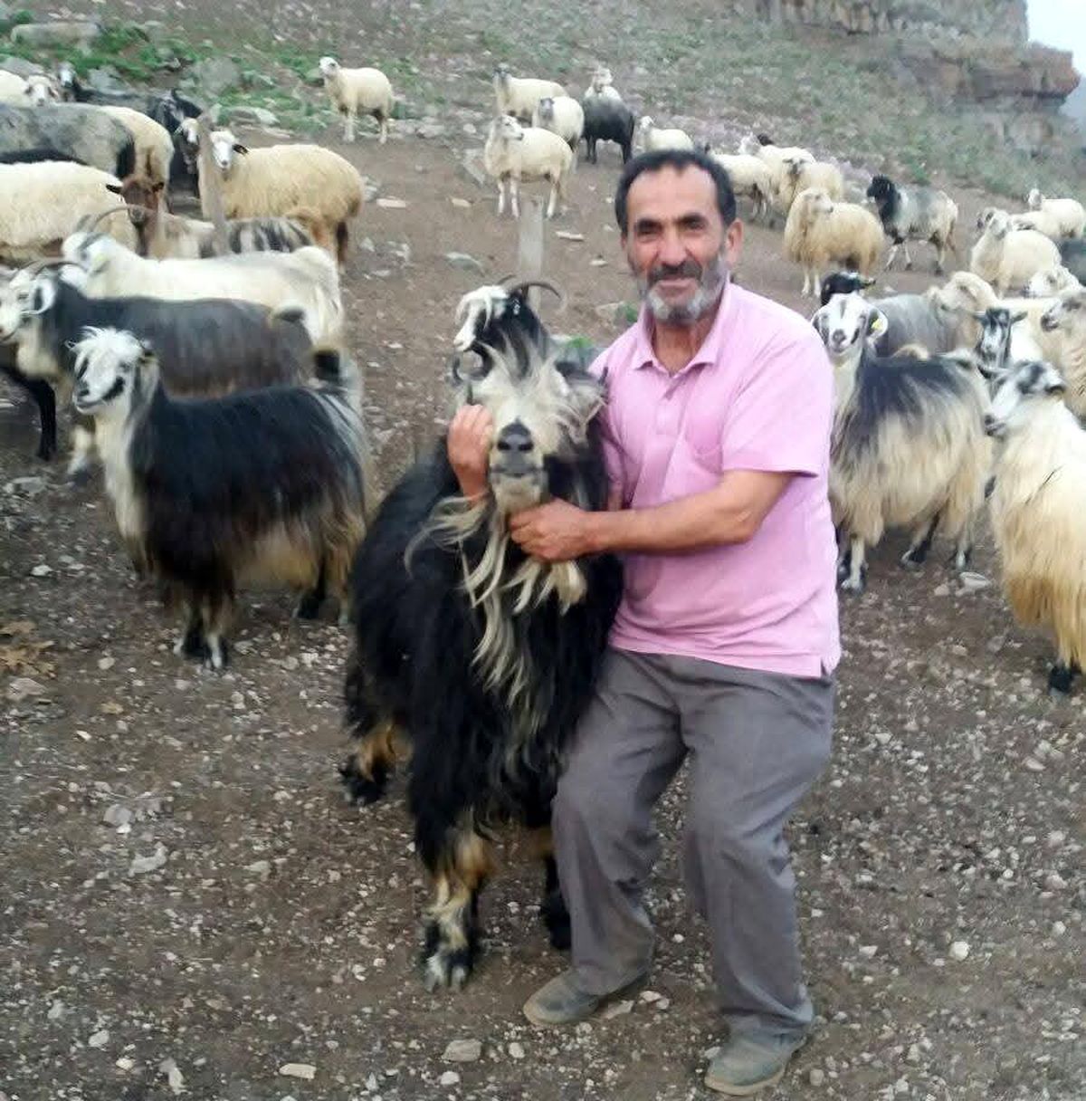 Artvin Şavşat'ta dereye düşen kamyonet sonrası yürütülen arama çalışmaları