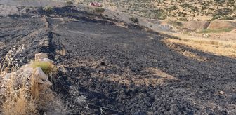 Cizre'de Anız Yangını: 1 Yaralı