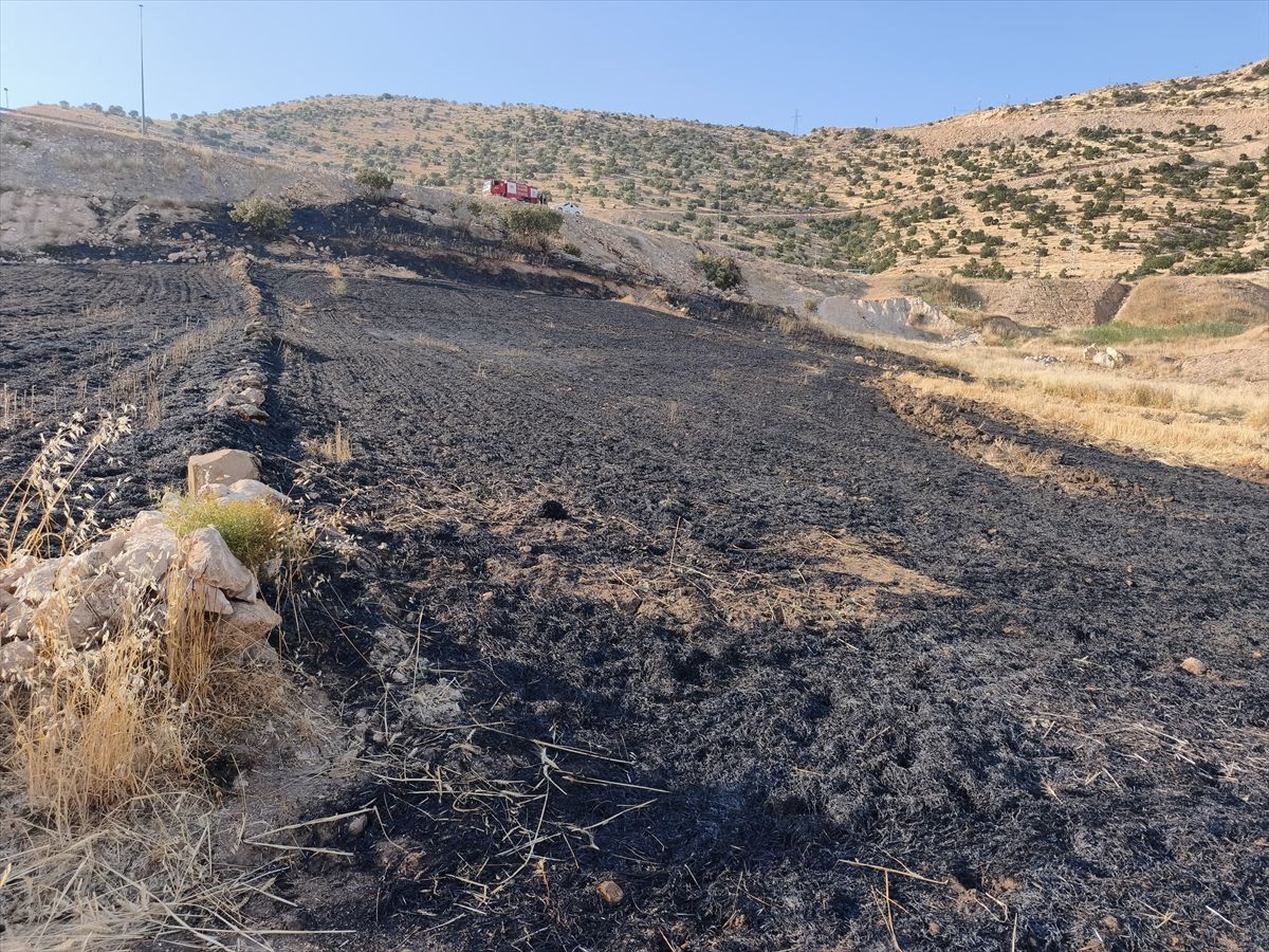 Cizre'de Anız Yangını: 1 Yaralı