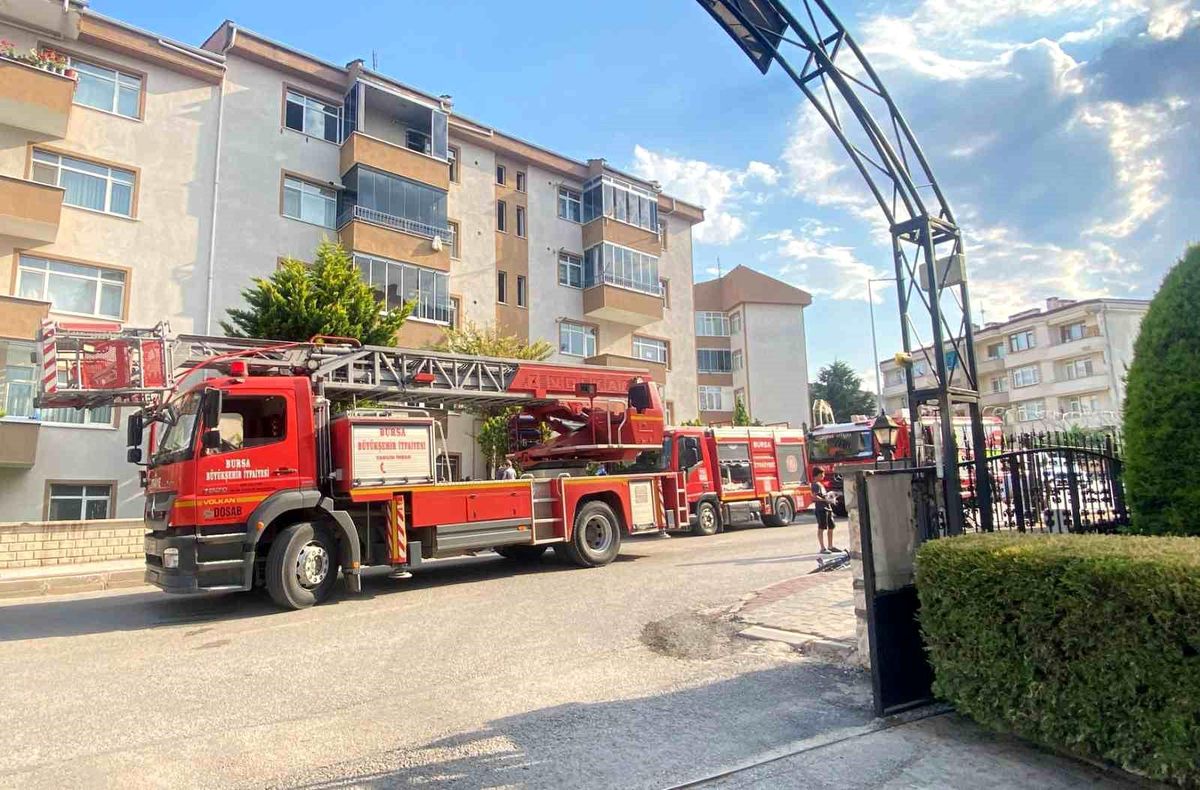 İnegöl'de yangın sonrası kurtarılan kediler
