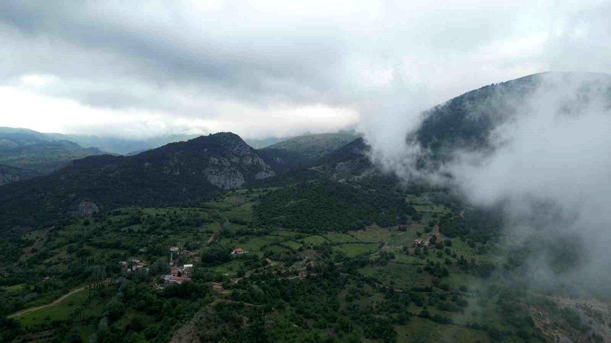 Amasya'da ormanlık alanlara giriş yasağı