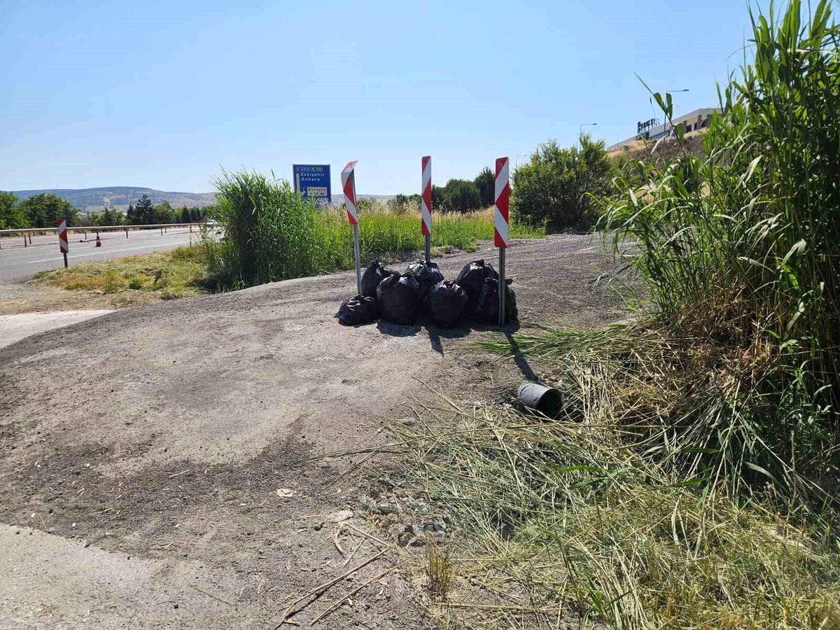 Bilecik'te jandarma poşet poşet çöp topladı