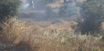 Çanakkale'de tarım arazisinde çıkan yangın söndürüldü