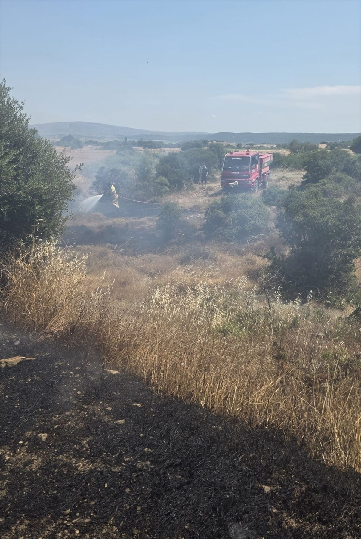Çanakkale'de tarım arazisinde çıkan yangın söndürüldü