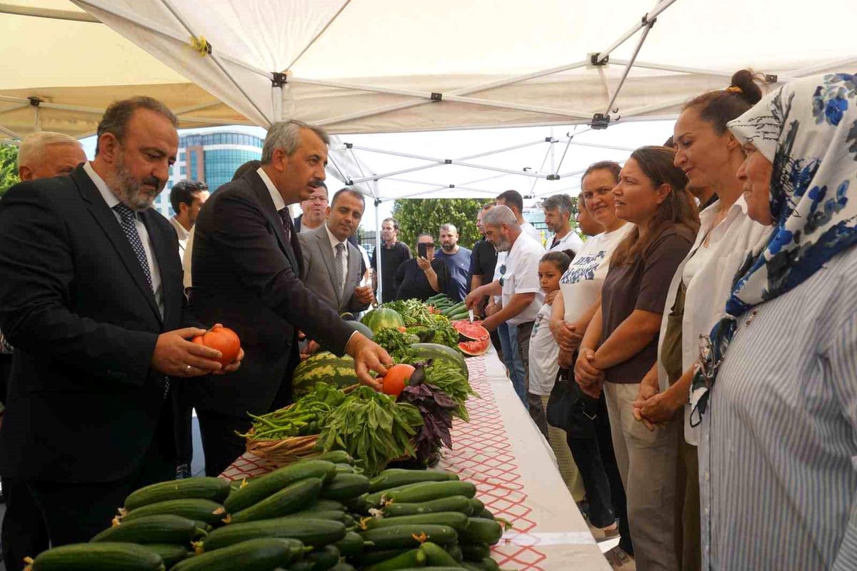Edirne'de 20 sera üreticilere teslim edildi