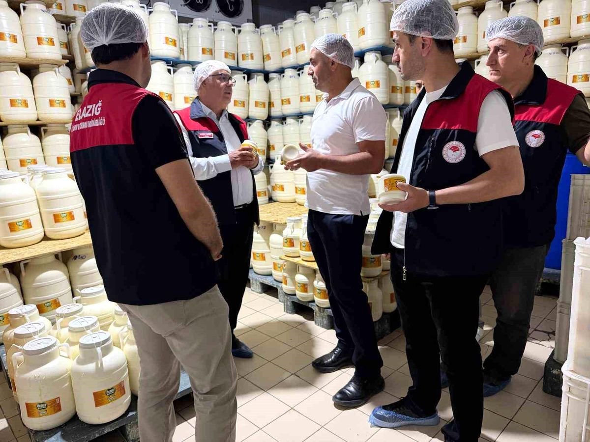 Elazığ'da tulum peynirinde üretim süreci yerinde incelendi