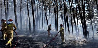 Kastamonu'da çıkan orman yangını söndürüldü
