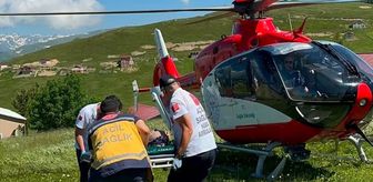Trabzon'da yaylada mantardan zehirlenen kişi ambulans helikopterle hastaneye kaldırıldı