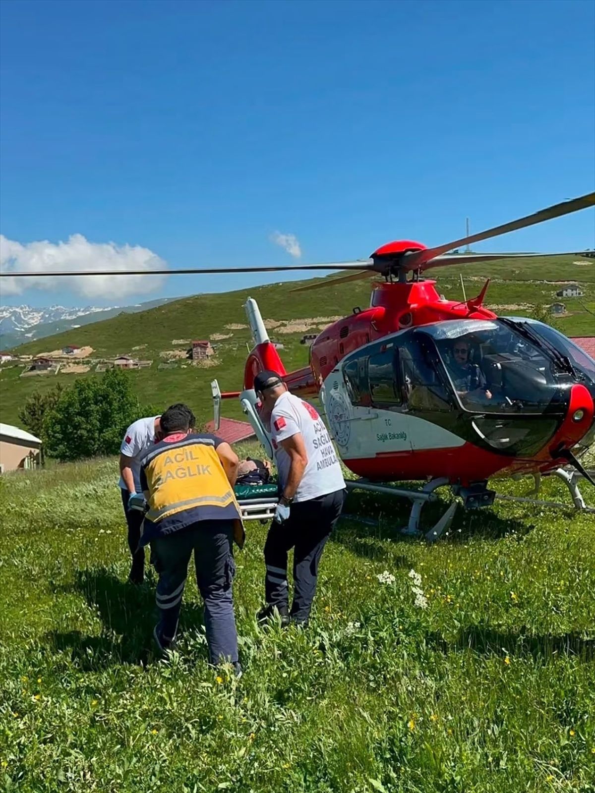 Trabzon'da yaylada mantardan zehirlenen kişi ambulans helikopterle hastaneye kaldırıldı