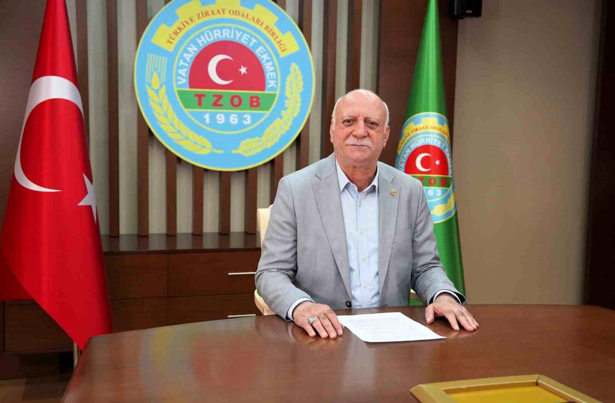 TZOB Başkanı Bayraktar: 'Haziran ayında markette fiyatı en fazla artan ürün çilek oldu'